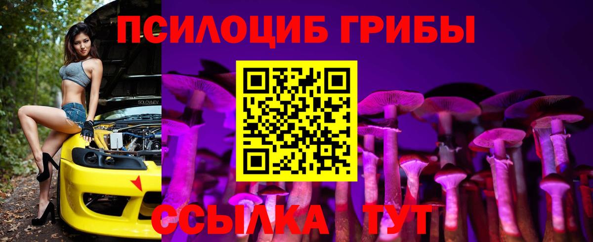 Псилоцибиновые грибы Psilocybine cubensis  Псилоцибиновые грибы мицелий  наркота  Вход с VPN  Соль-Илецк 
